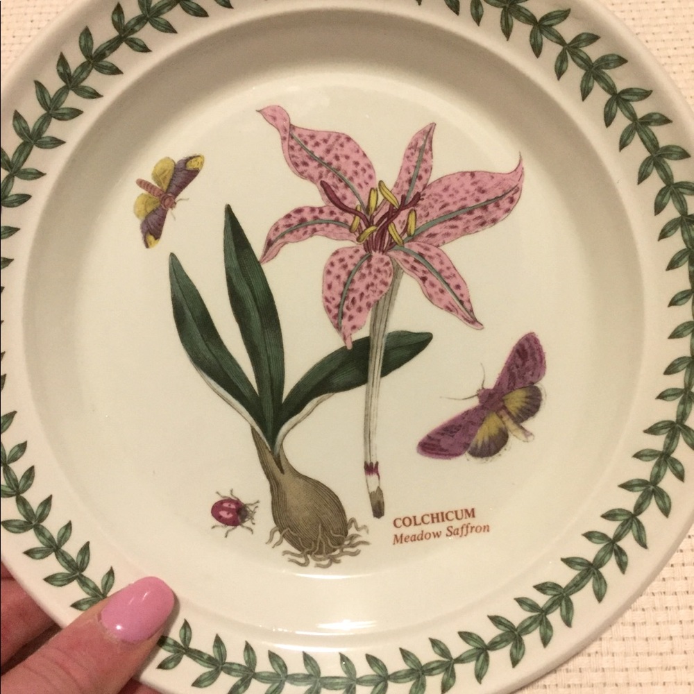 Portmeirion Meadow Saffron Salad Plate